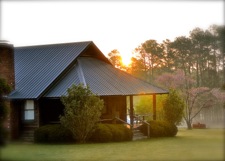 Lodge11