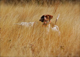 Quailridge_small24